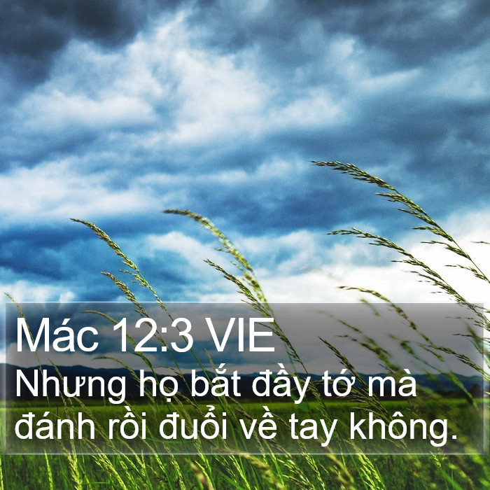 Mác 12:3 VIE Bible Study