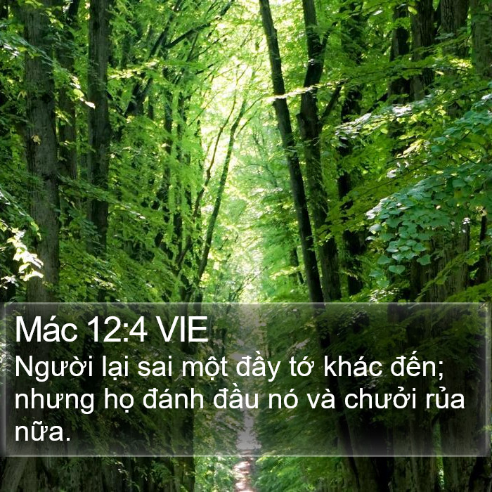 Mác 12:4 VIE Bible Study