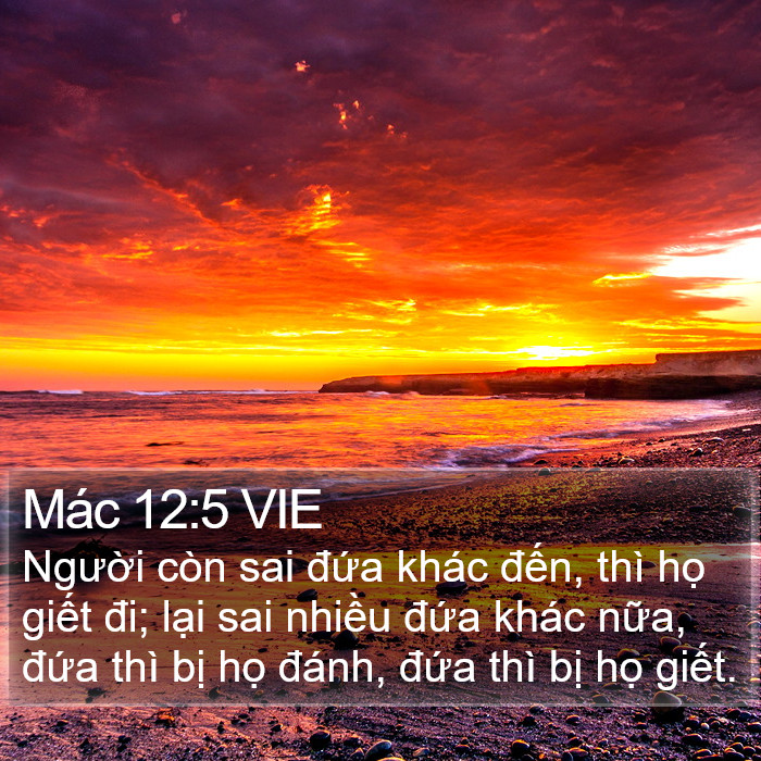 Mác 12:5 VIE Bible Study