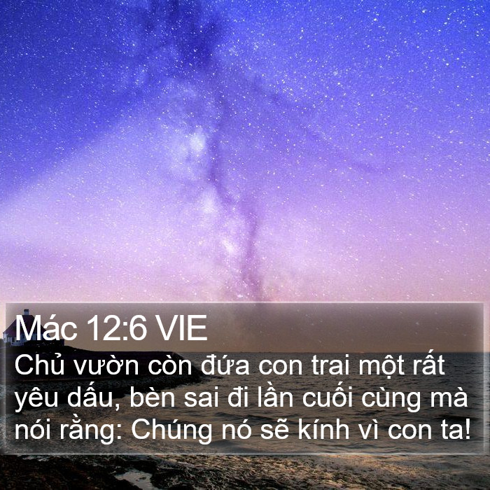 Mác 12:6 VIE Bible Study