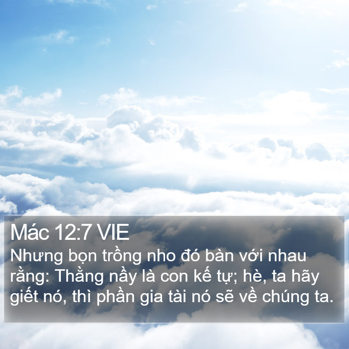 Mác 12:7 VIE Bible Study