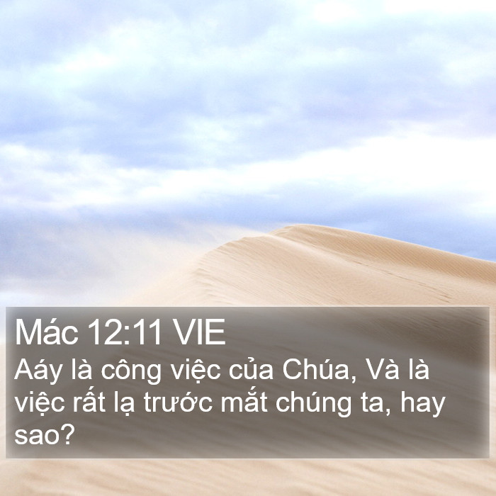 Mác 12:11 VIE Bible Study