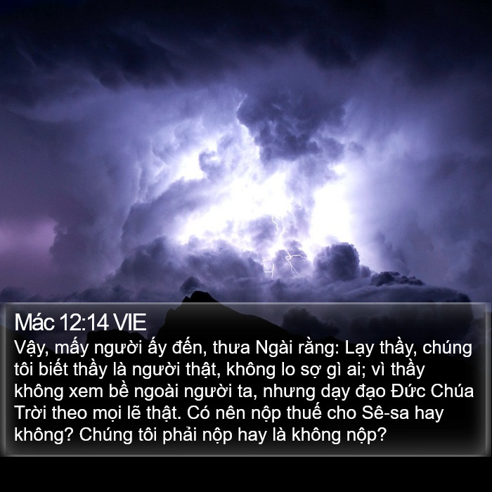 Mác 12:14 VIE Bible Study