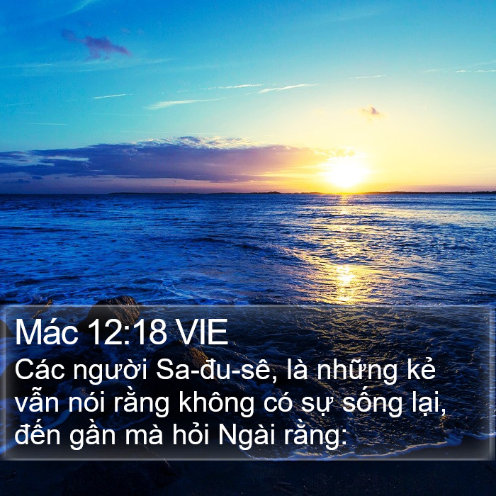 Mác 12:18 VIE Bible Study