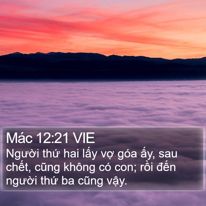 Mác 12:21 VIE Bible Study
