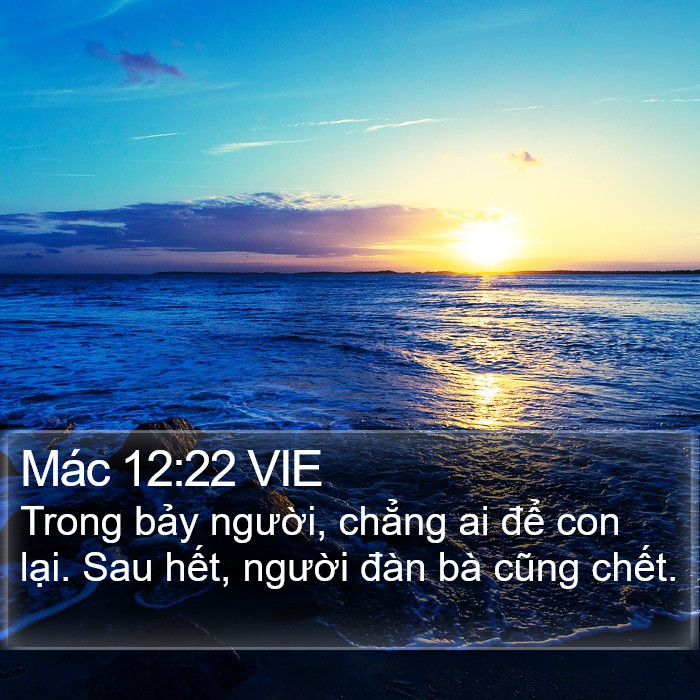 Mác 12:22 VIE Bible Study