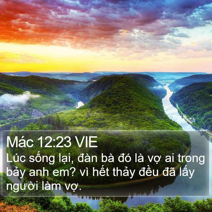 Mác 12:23 VIE Bible Study