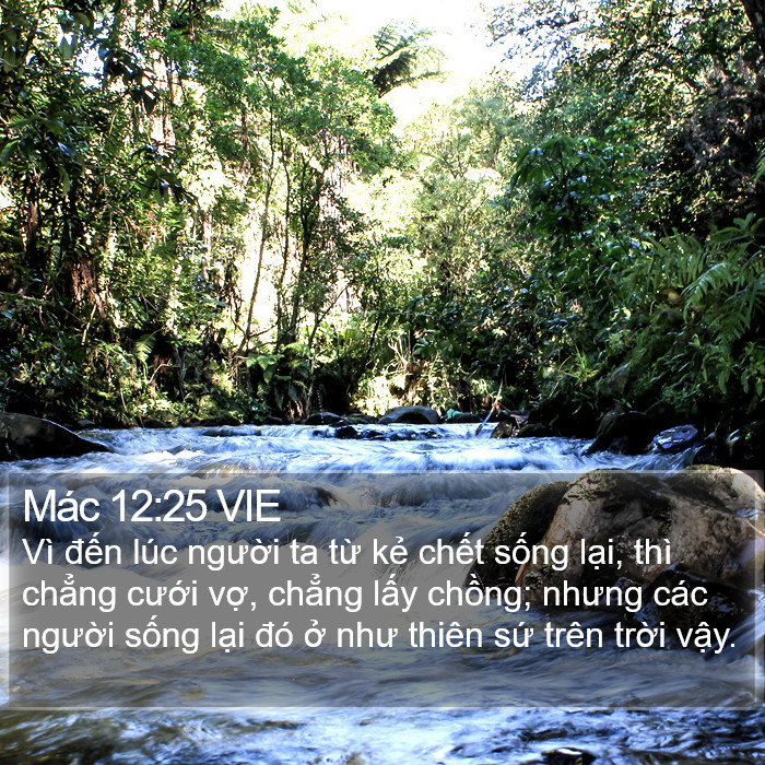 Mác 12:25 VIE Bible Study