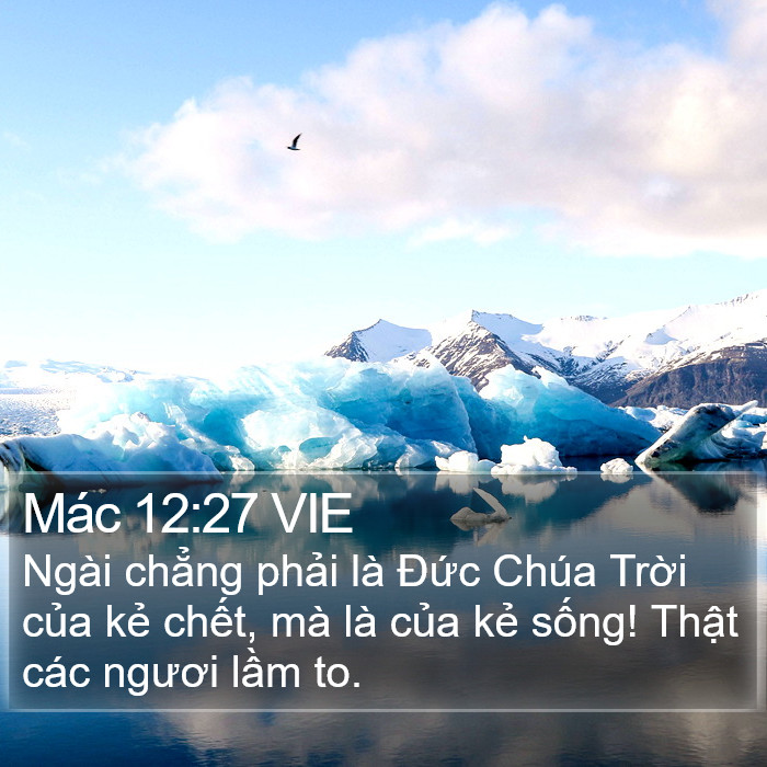 Mác 12:27 VIE Bible Study