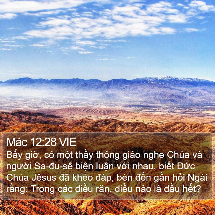 Mác 12:28 VIE Bible Study