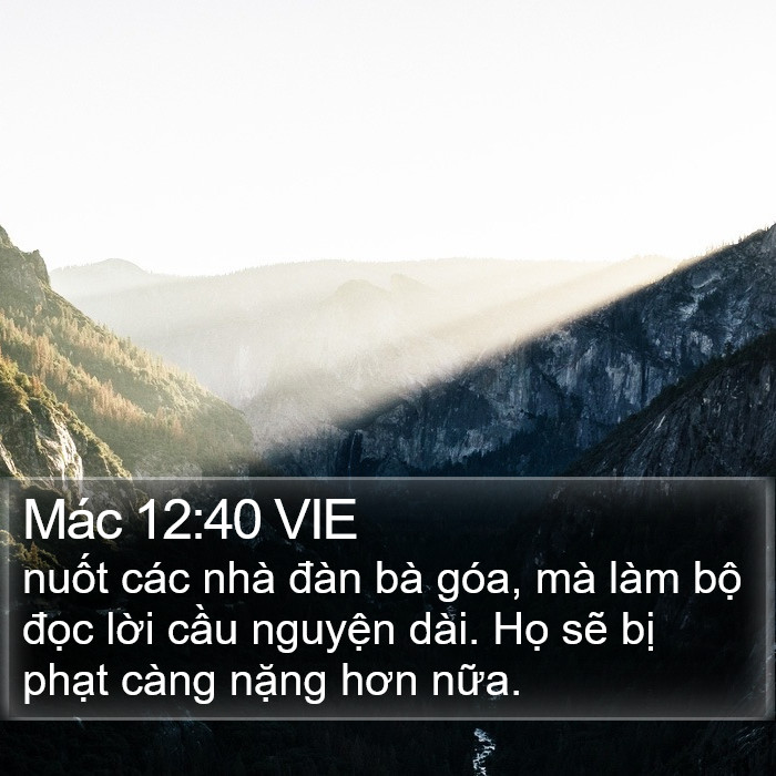 Mác 12:40 VIE Bible Study
