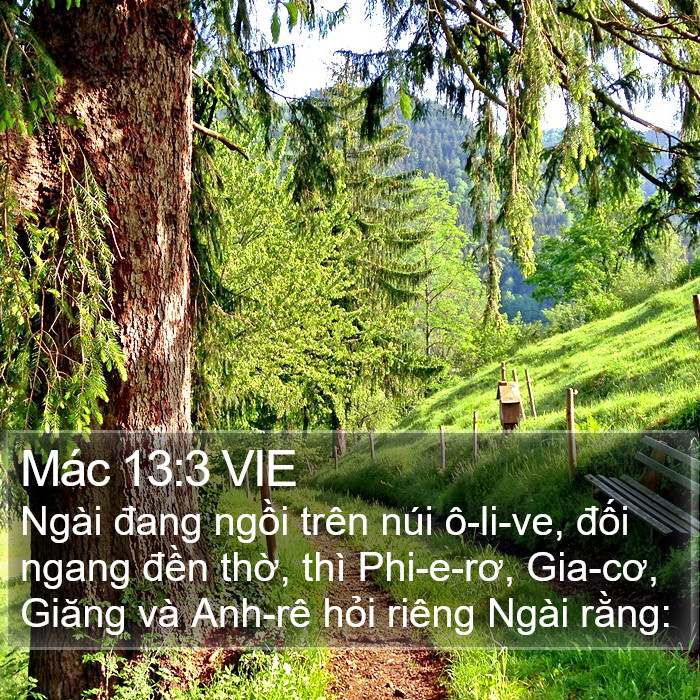 Mác 13:3 VIE Bible Study