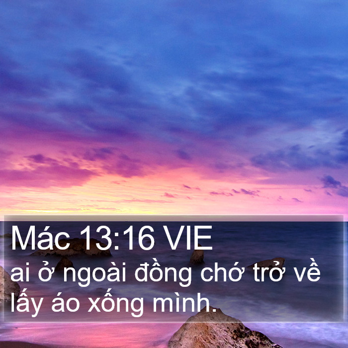 Mác 13:16 VIE Bible Study