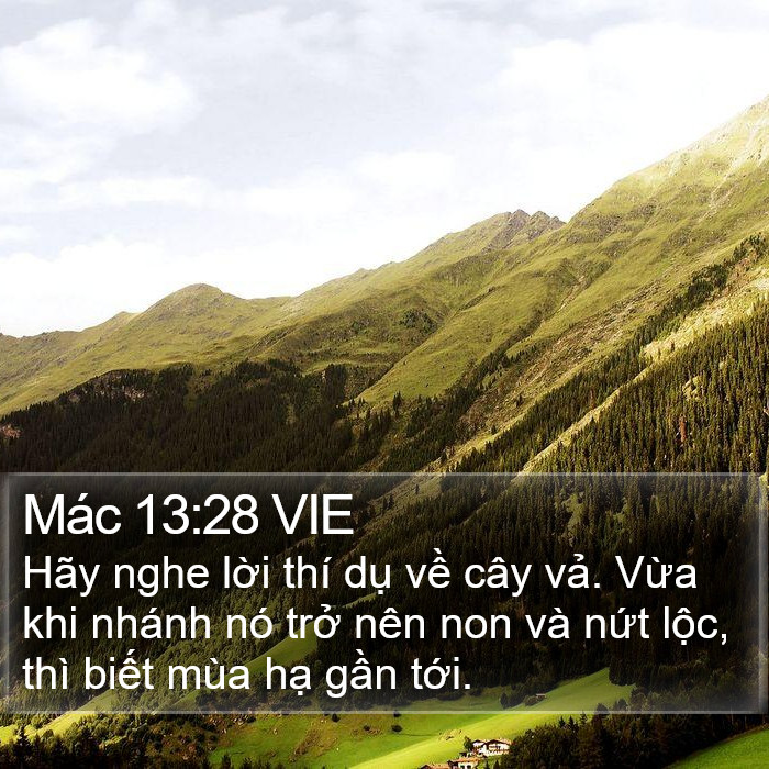 Mác 13:28 VIE Bible Study