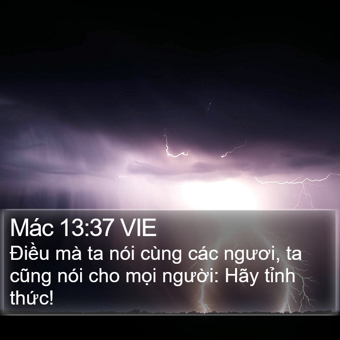 Mác 13:37 VIE Bible Study