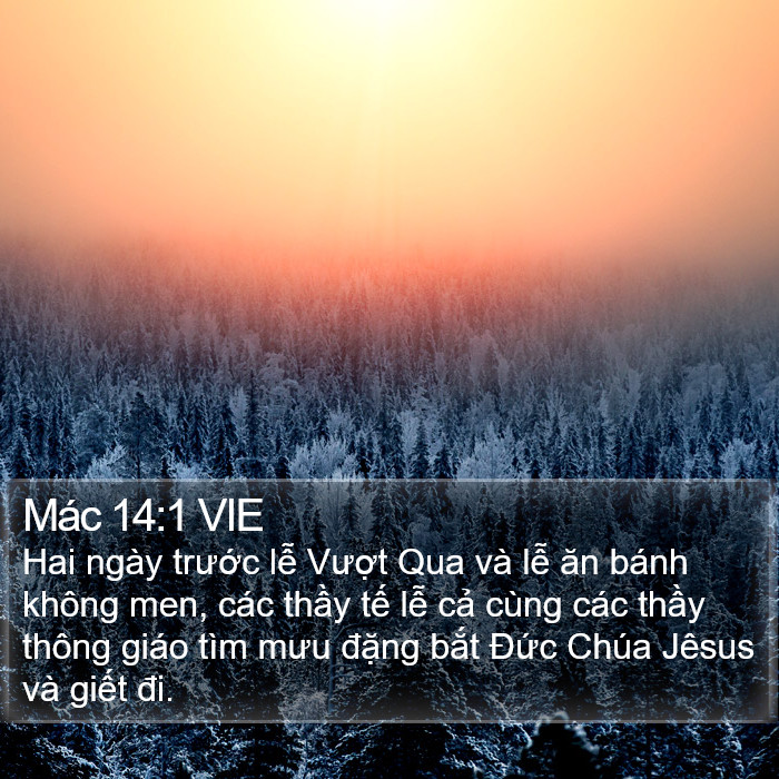 Mác 14:1 VIE Bible Study