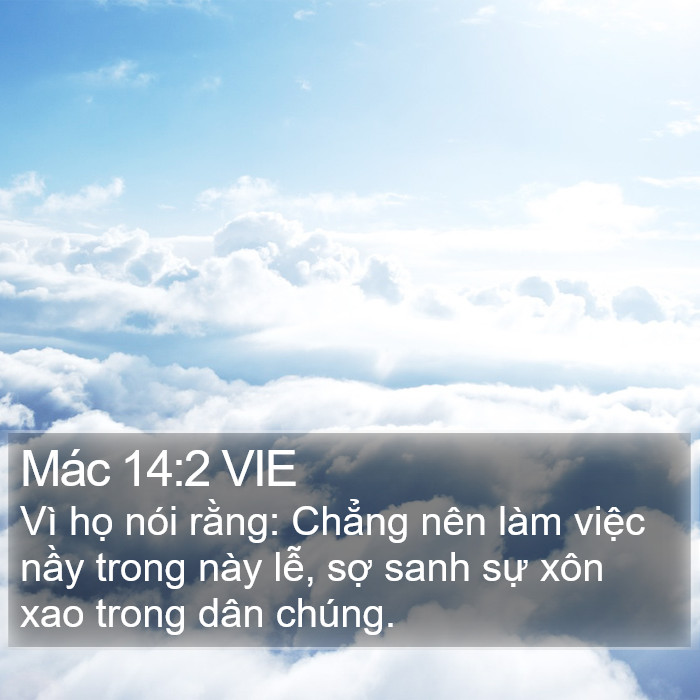 Mác 14:2 VIE Bible Study