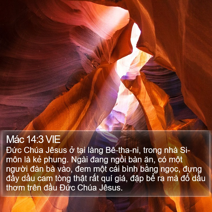 Mác 14:3 VIE Bible Study