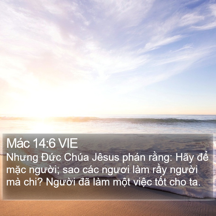 Mác 14:6 VIE Bible Study