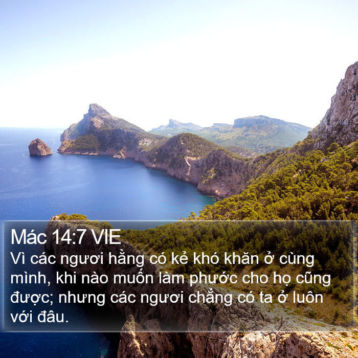 Mác 14:7 VIE Bible Study