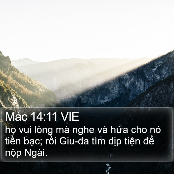 Mác 14:11 VIE Bible Study
