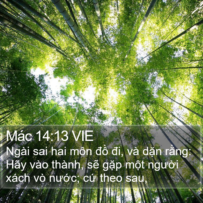 Mác 14:13 VIE Bible Study