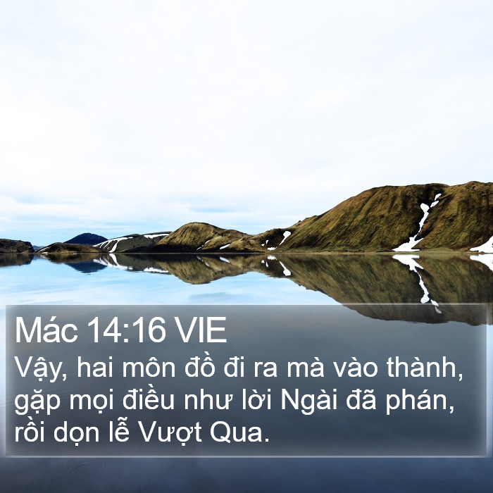 Mác 14:16 VIE Bible Study