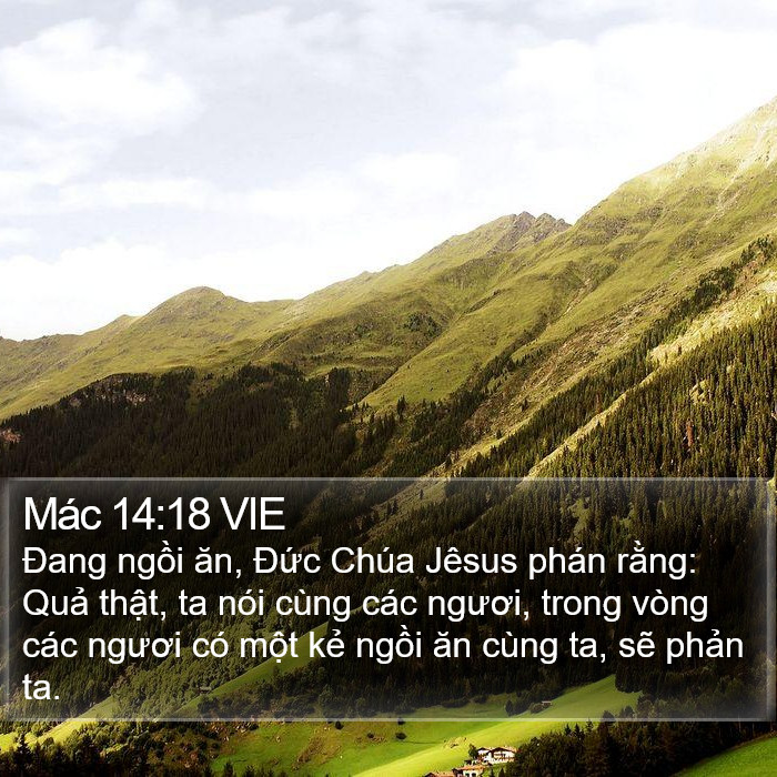 Mác 14:18 VIE Bible Study