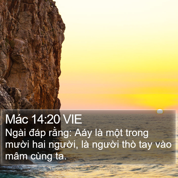 Mác 14:20 VIE Bible Study