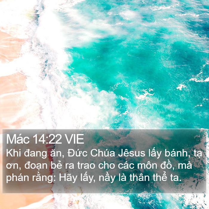 Mác 14:22 VIE Bible Study