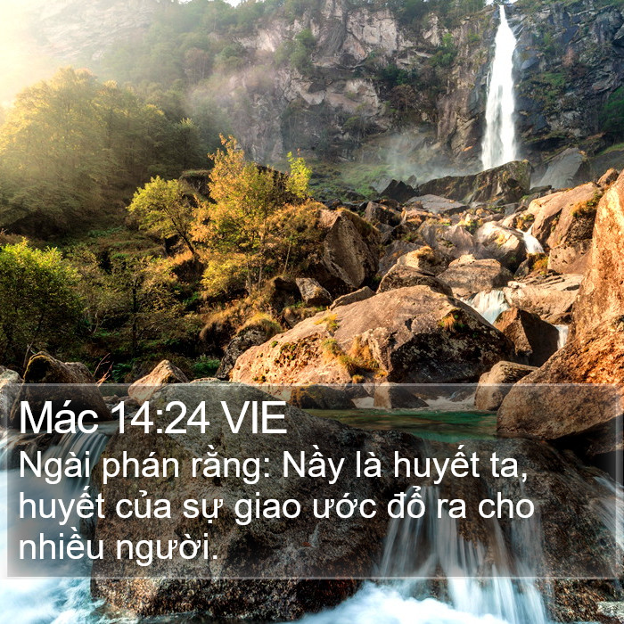 Mác 14:24 VIE Bible Study