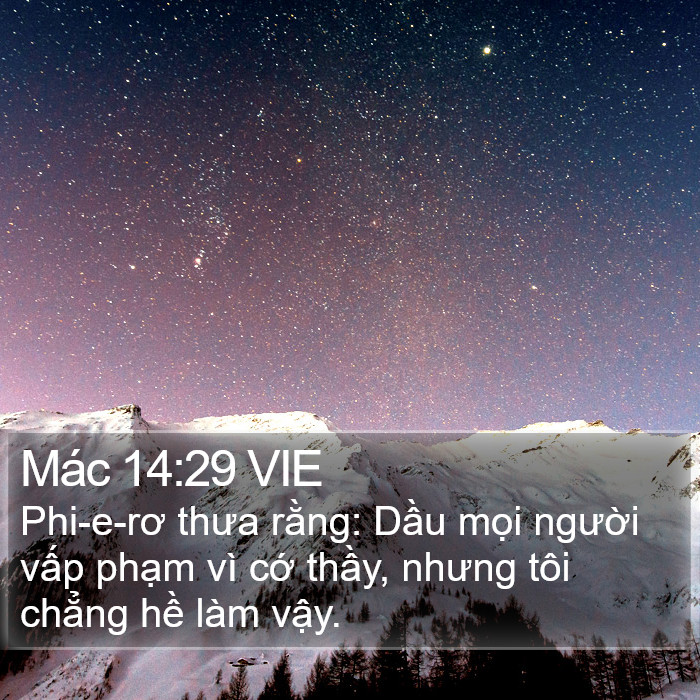 Mác 14:29 VIE Bible Study