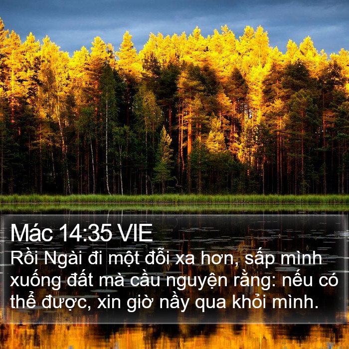 Mác 14:35 VIE Bible Study