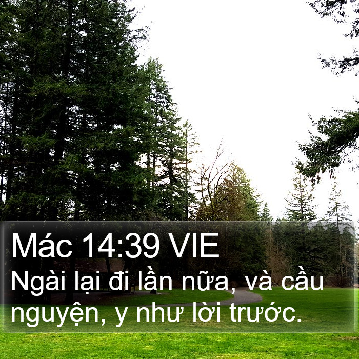 Mác 14:39 VIE Bible Study