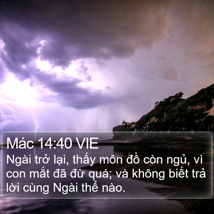 Mác 14:40 VIE Bible Study