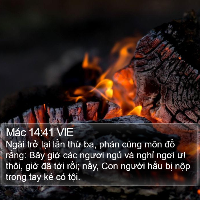 Mác 14:41 VIE Bible Study