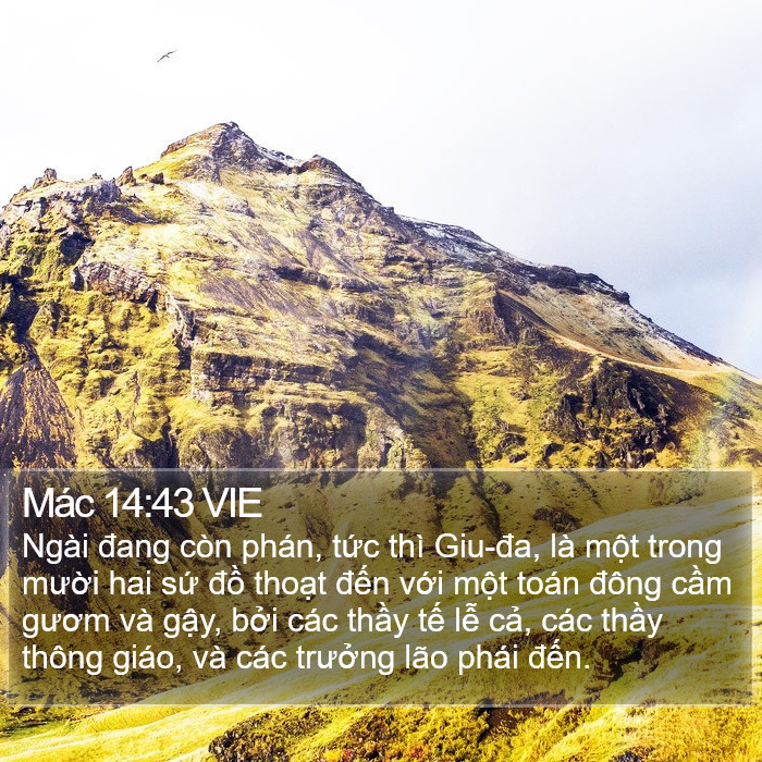 Mác 14:43 VIE Bible Study