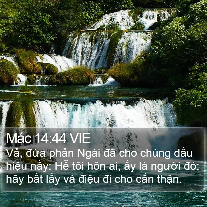 Mác 14:44 VIE Bible Study