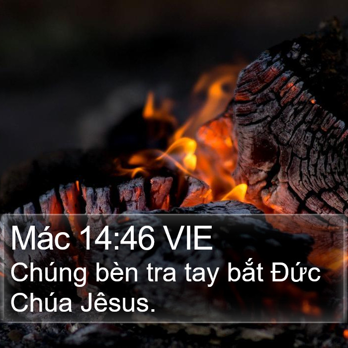 Mác 14:46 VIE Bible Study