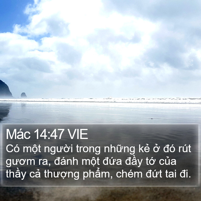 Mác 14:47 VIE Bible Study