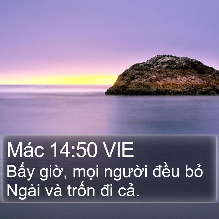 Mác 14:50 VIE Bible Study