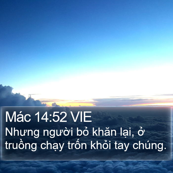 Mác 14:52 VIE Bible Study