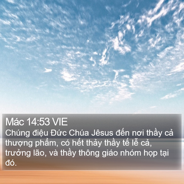 Mác 14:53 VIE Bible Study
