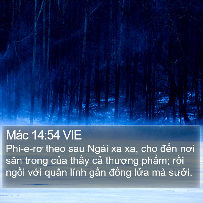 Mác 14:54 VIE Bible Study