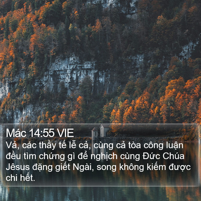 Mác 14:55 VIE Bible Study