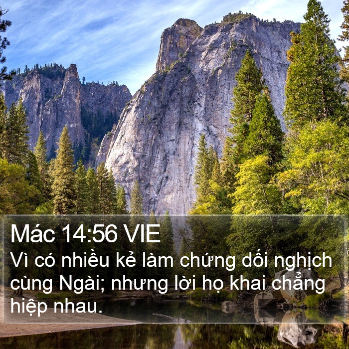 Mác 14:56 VIE Bible Study