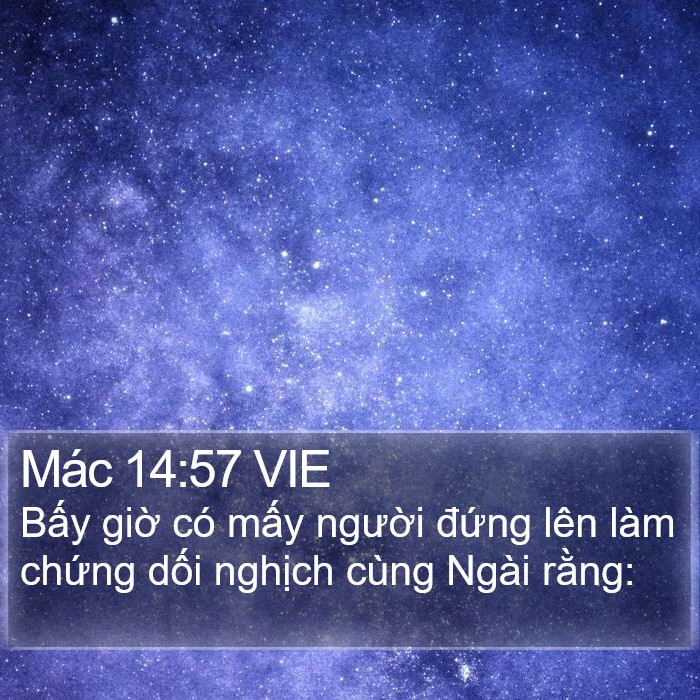 Mác 14:57 VIE Bible Study