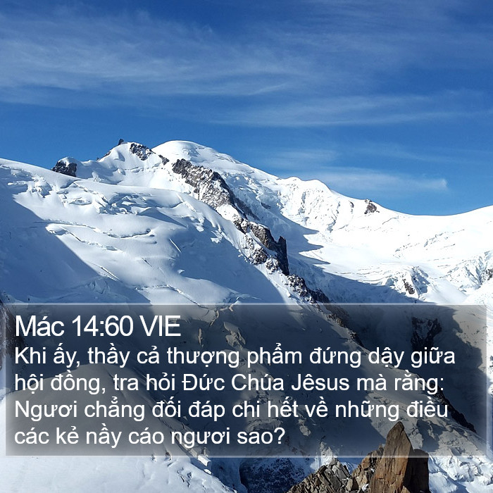 Mác 14:60 VIE Bible Study