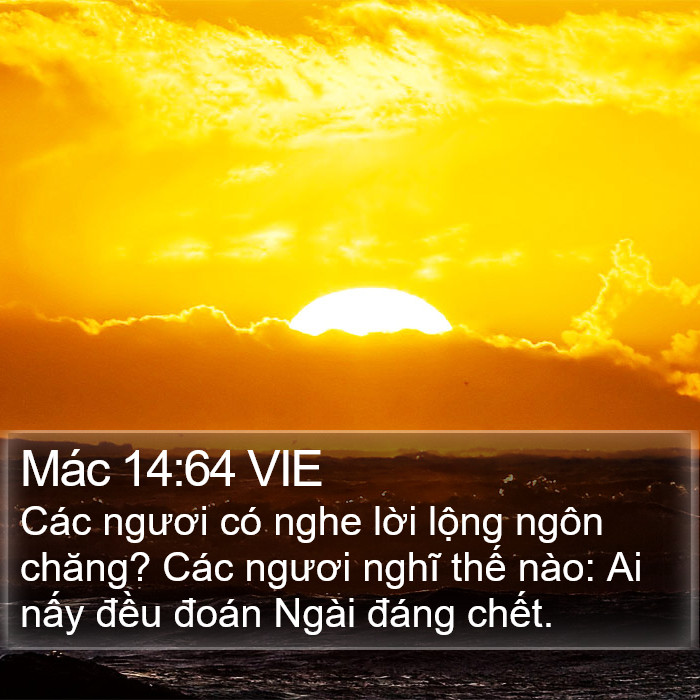 Mác 14:64 VIE Bible Study