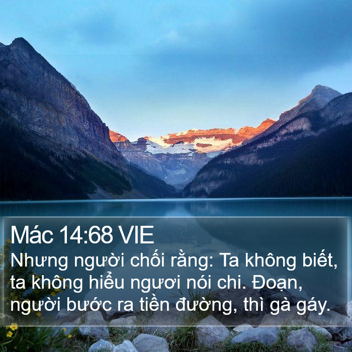 Mác 14:68 VIE Bible Study